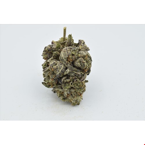 Black Tuna (Indica) - SALE 1 OZ $110
